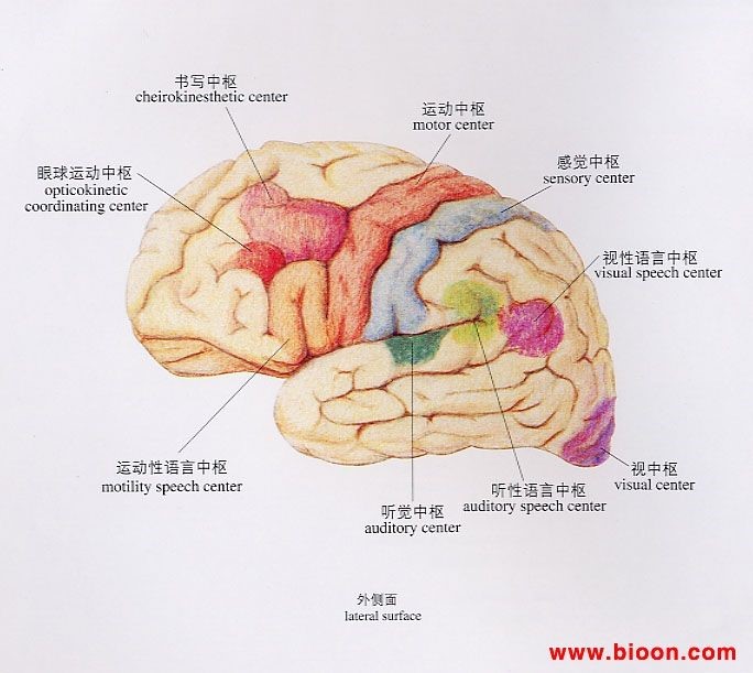 平創(chuàng)醫(yī)療產(chǎn)后計(jì)量敷墊